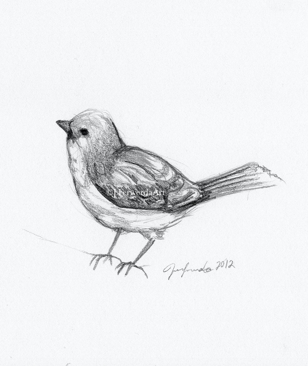 Easy Birds Pencil Drawing | Bird pencil drawing, Simple bird drawing, Bird  drawings