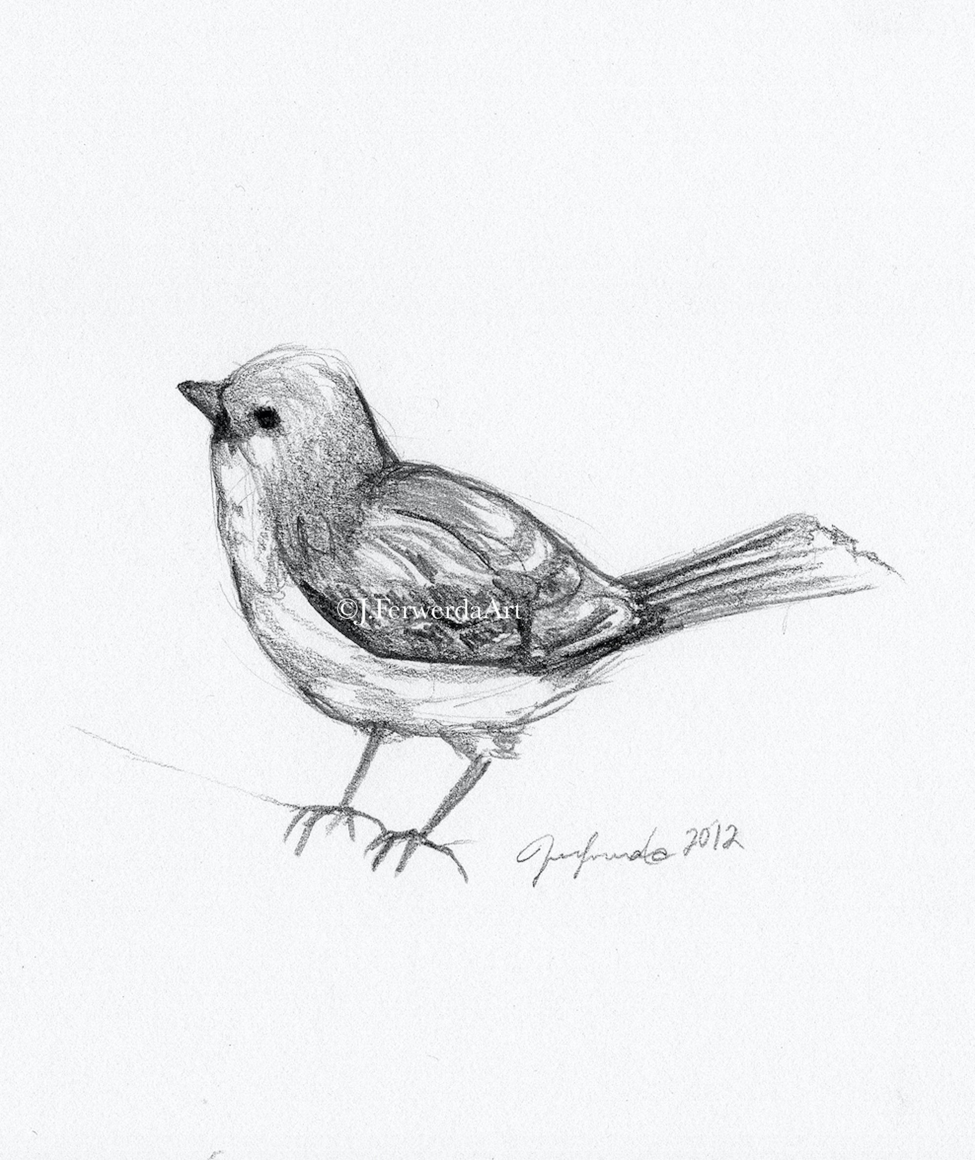 Buy Answering Bird Day 3 Pencil Drawing Print Online in India - Etsy