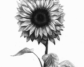 Pencil Drawing Print - Sunshine Love - Day 27