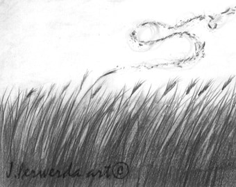 Pencil Drawing Print - Like The Wind - Day 231