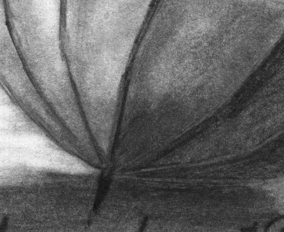 Pencil Drawing Print - Enjoy the Raindrops - Day 108 - Etsy