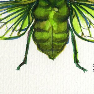 Cicada Song Ink on paper print image 5