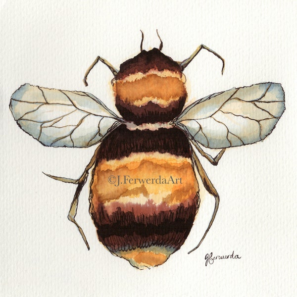 Just Bee - Ink on paper print