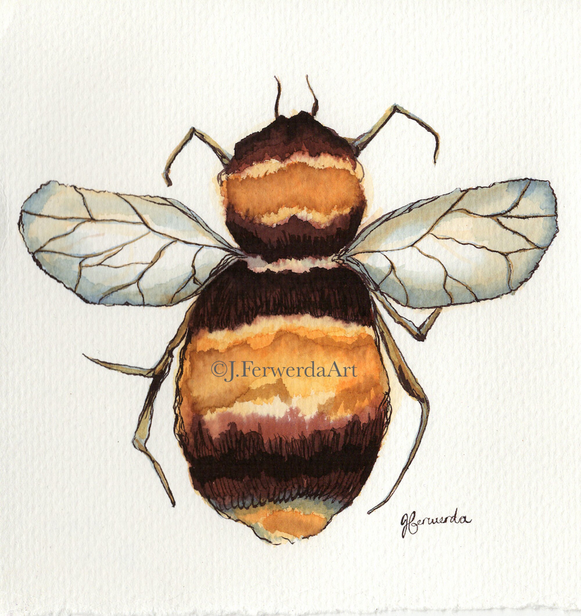 Just Bee - Ink on paper print