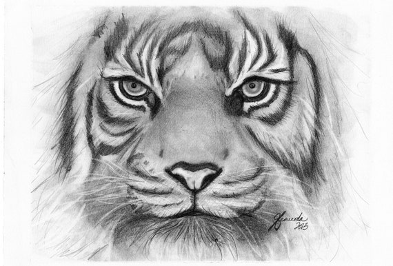 Impresión de dibujo de lápiz Ojos de tigre - Etsy España