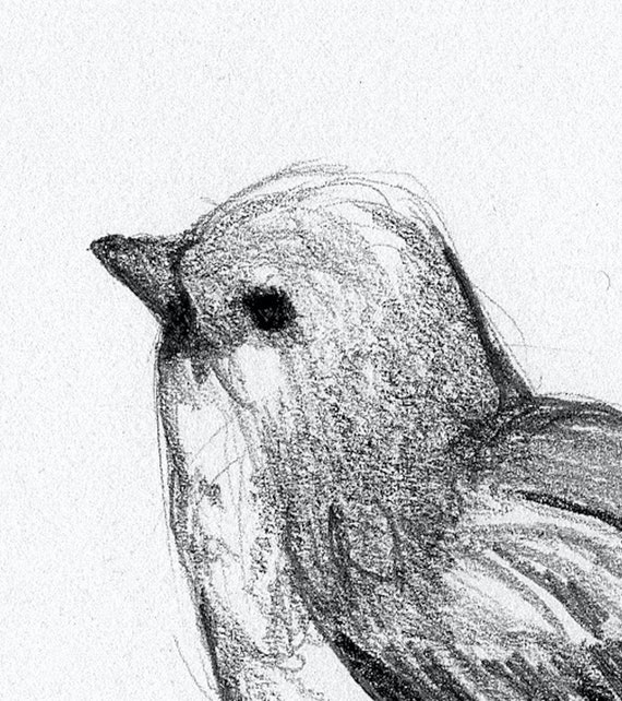Bird Sketches(バード・スケッチズ) Bird Sketches(バード・スケッチズ)