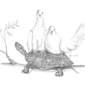 May include: A black and brown turtle with two white doves perched on its shell. The doves have their wings spread out, and the turtle is sitting on a branch.