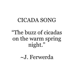 Cicada Song Ink on paper print image 6