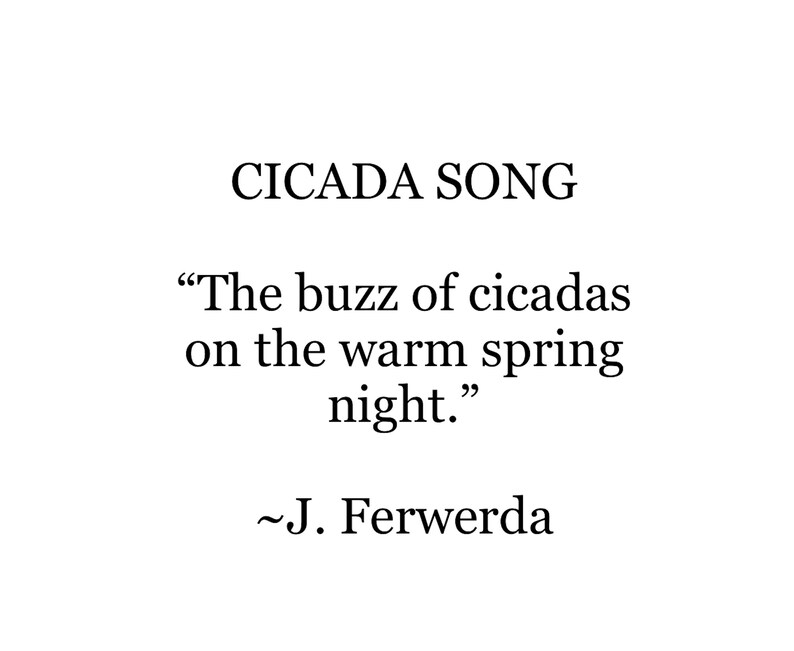 Cicada Text Cicada Song - Ink on Paper Print - Etsy