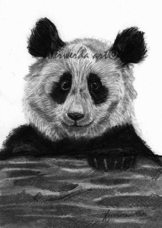 Pencil Drawing Print Pondering Panda Day 137 | Etsy