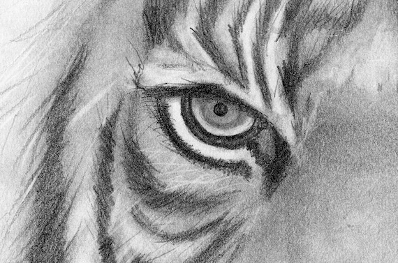 Impresión de dibujo de lápiz Ojos de tigre - Etsy España