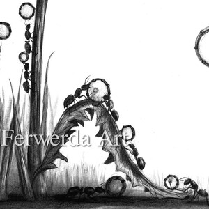 Pencil Drawing Print - Twelve Drummers - Day 354
