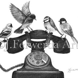 Pencil Drawing Print - Four Calling Birds - Day 346 - Etsy