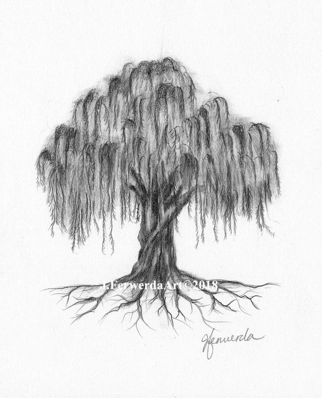 Pencil Drawing Print Willow Roots Etsy