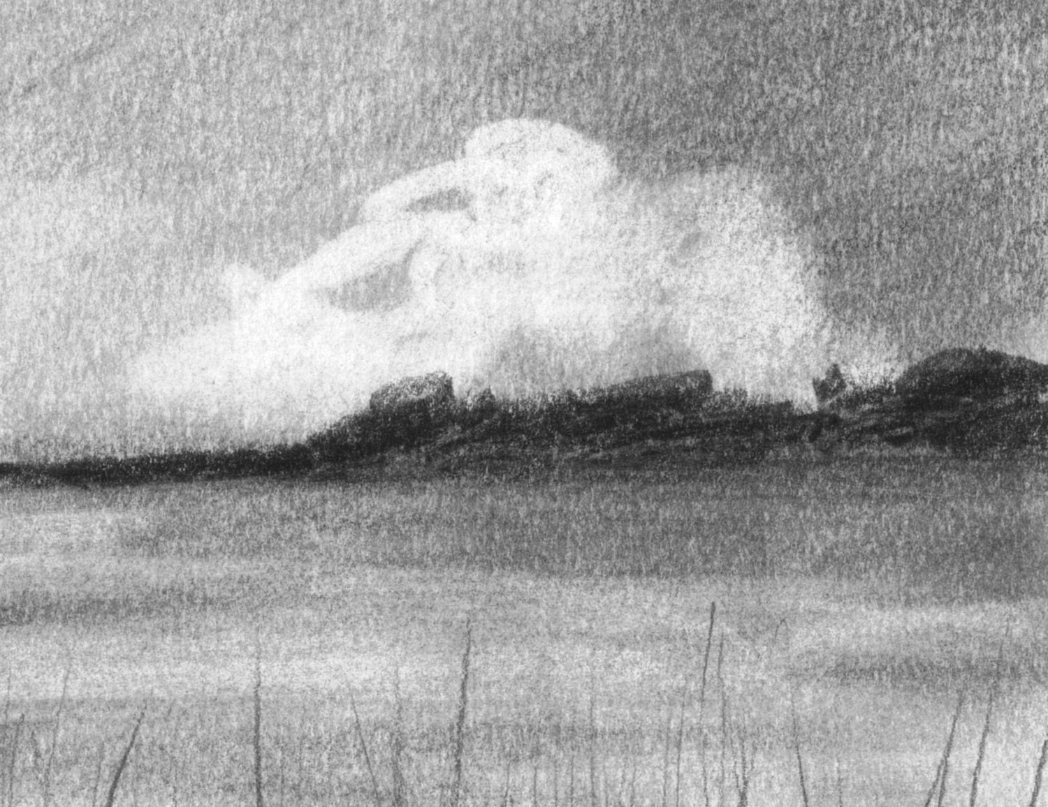 Pencil Drawing Print - Sunflower Cloud - Day 237 - Etsy