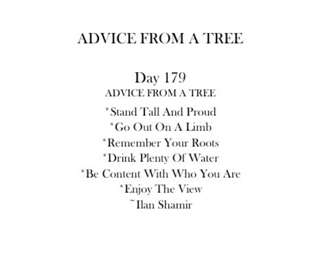 Pencil Drawing Print - Advice From A Tree - Day 179 - Etsy