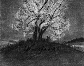 Pencil Drawing Print - Advice From A Tree - Day 179