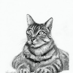 Pencil Drawing Print - Day 97