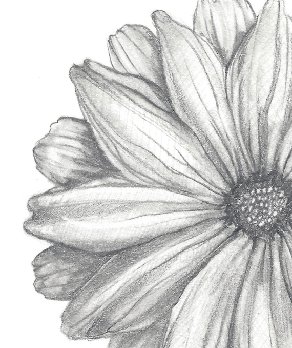 A Contented Heart - Pencil Drawing Print - Etsy