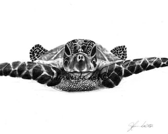 Pencil Drawing Print - The Sea Traveler - Day 32