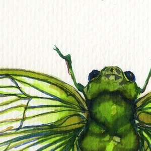 Cicada Song Ink on paper print image 3