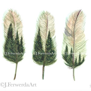 Tree Feathers - Ink on paper