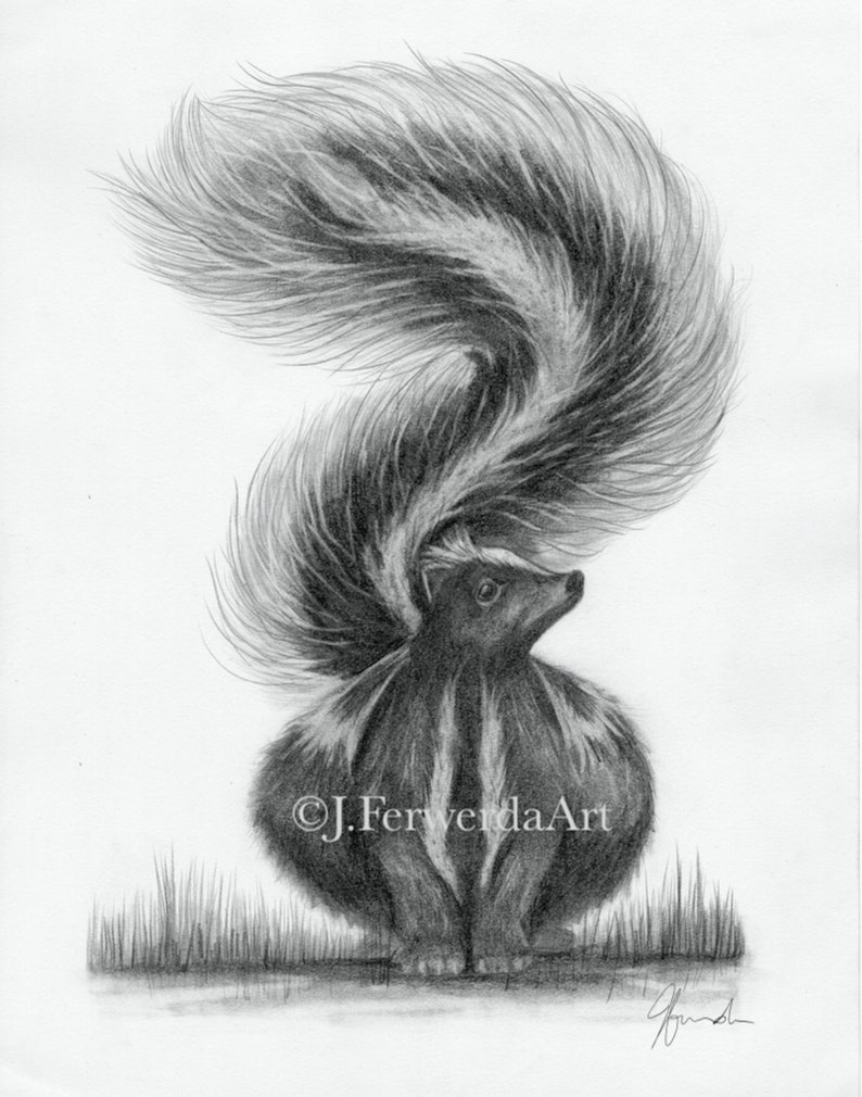 Pencil Drawing Delicate Option image 1