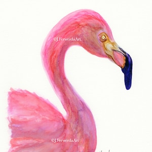 Mingo The Flamingo - Ink on Paper print