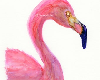 Mingo The Flamingo - Ink on Paper print