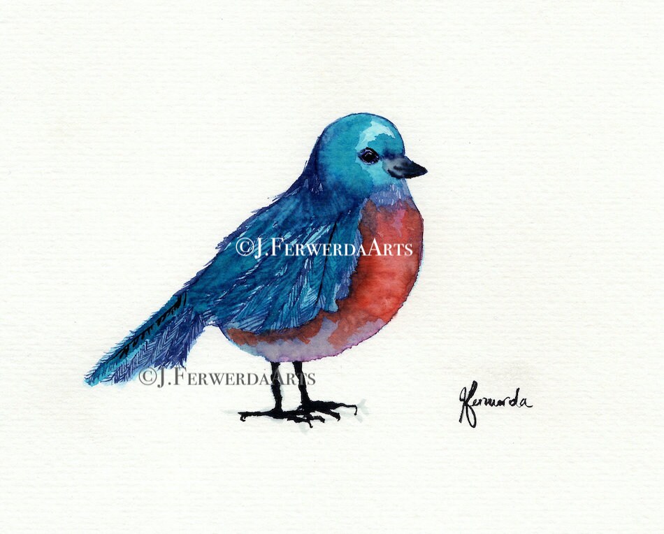 Bird of Blue - Ink on Paper Print - Etsy