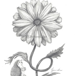 A Contented Heart - Pencil Drawing Print