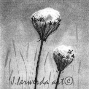 Pencil Drawing Print - Know Thyself - Day 330