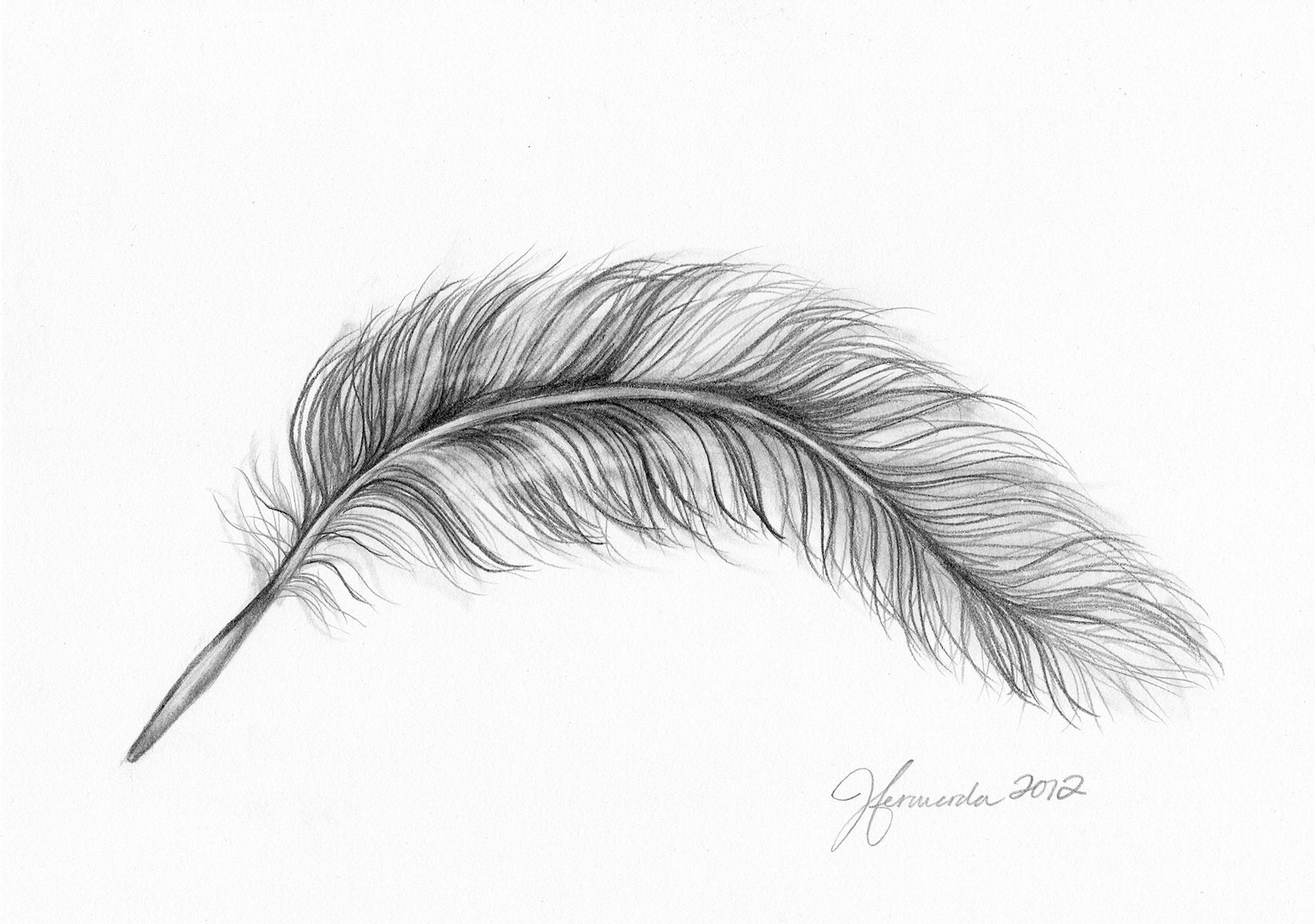 Pencil Drawing Print Soul Feathers Day 102 Etsy UK