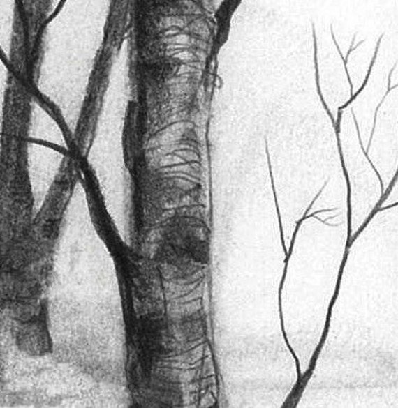 Pencil Drawing Print - the Nature of Trees - Day 326 - Etsy