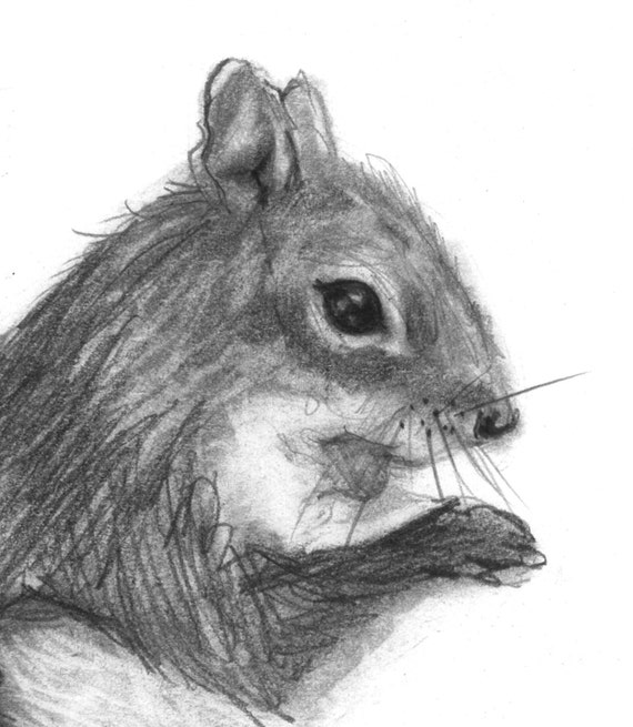 Ołówkiem Rysunek Print Intrygant Dzień 208