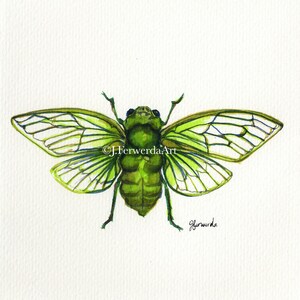 Cicada Song Ink on paper print image 1