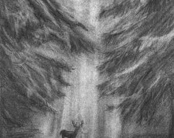 Pencil Drawing Print - Giants Of The Wood - Day 265