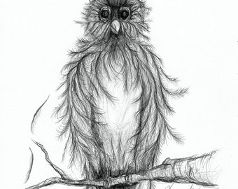 Pencil Drawing Print - Crazybird