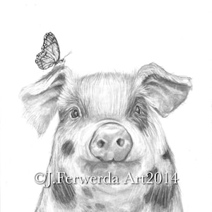 Pencil Drawing Print - Pig With Wings