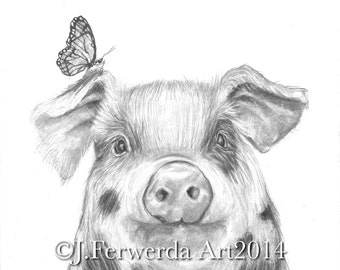 Pencil Drawing Print - Pig With Wings