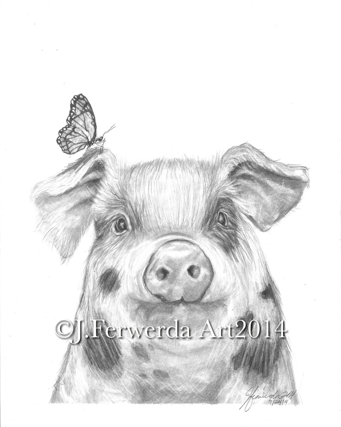 Pencil Drawing Print Pig With Wings - Etsy