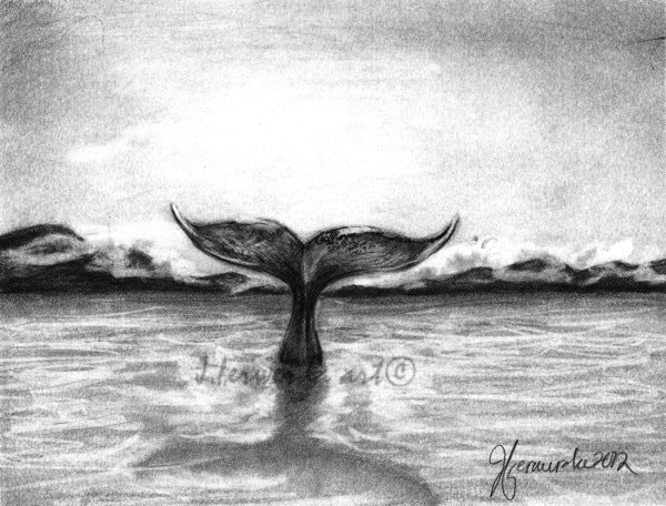 Pencil Drawing Print Friends From The Deep Day 2 Etsy