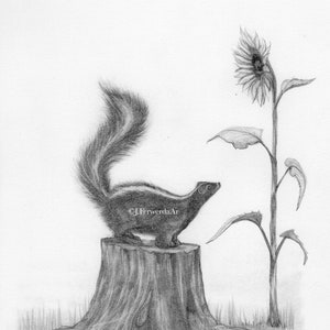 Skunk op een stomp - Potlood tekening afdrukken