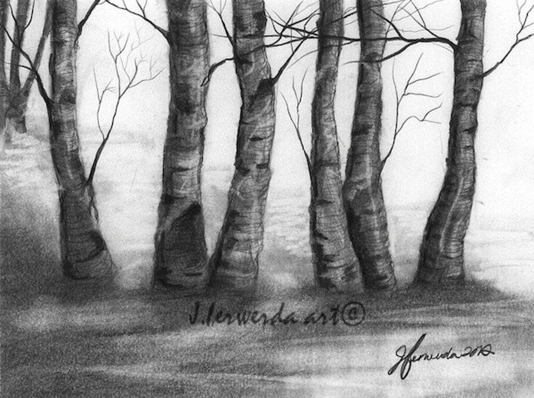 Buy Pencil Drawing Print the Nature of Trees Day 326 Online in ...