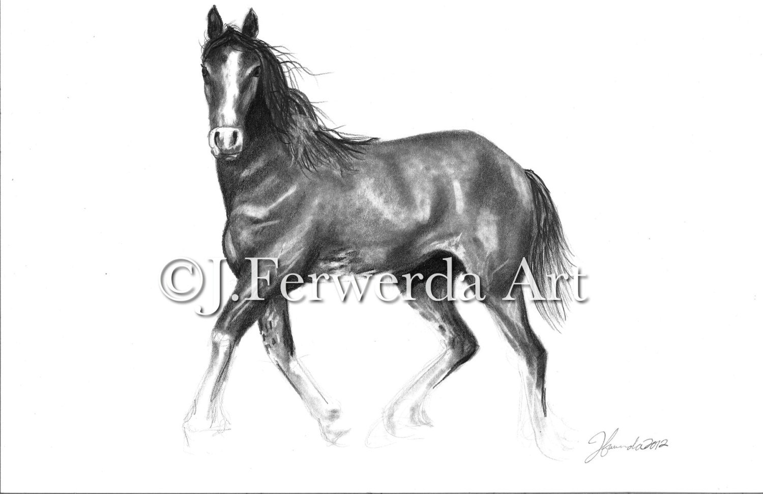 Pencil Drawing Print - Spirit - Day 59