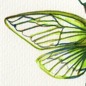 Cicada Song Ink on paper print image 2