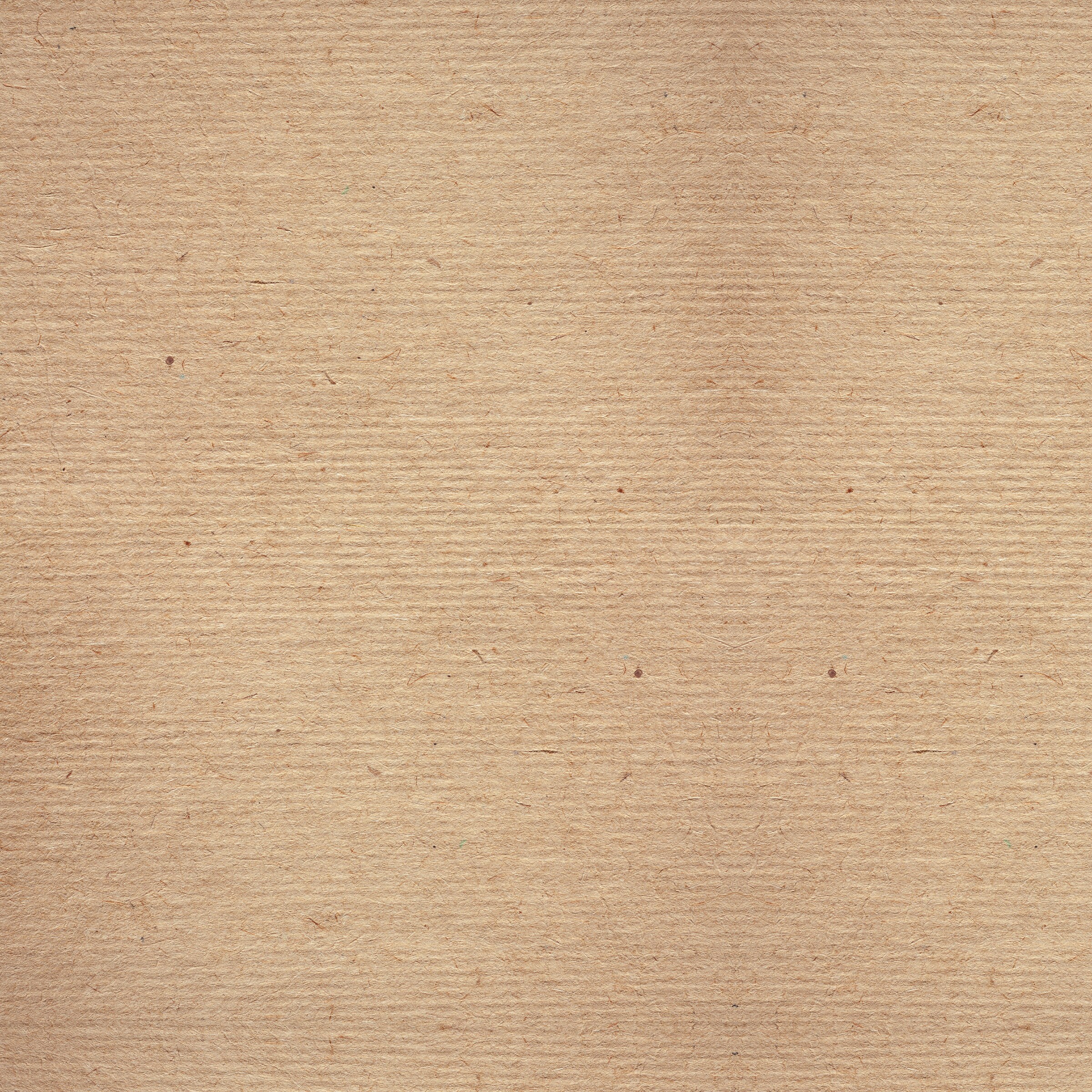 Supplément Traitement Rapide