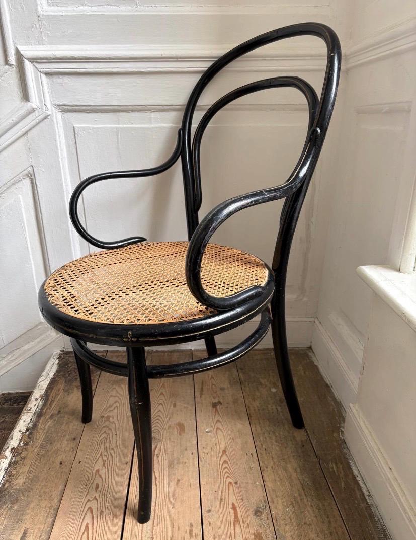 Buy Bentwood Chair Online In India - Etsy India