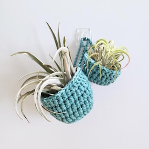 May include: Two teal crocheted hanging baskets made of thick yarn, each containing a green air plant with long, pointed leaves. The baskets are connected by a matching crocheted cord and are suspended from a clear plastic adhesive wall hook.