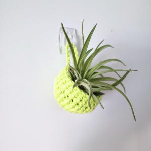 Mini Colorful Hanging Air Plant Holder, Crochet Wall Planter Basket in Lime Green